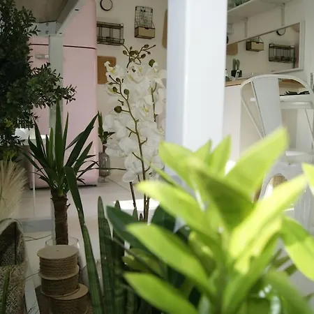 Apartment Gard - Maison Loft Exotique & Jacuzzi Privatif Beaucaire (Gard)